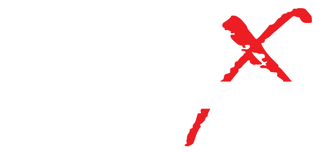 Gobi X logo